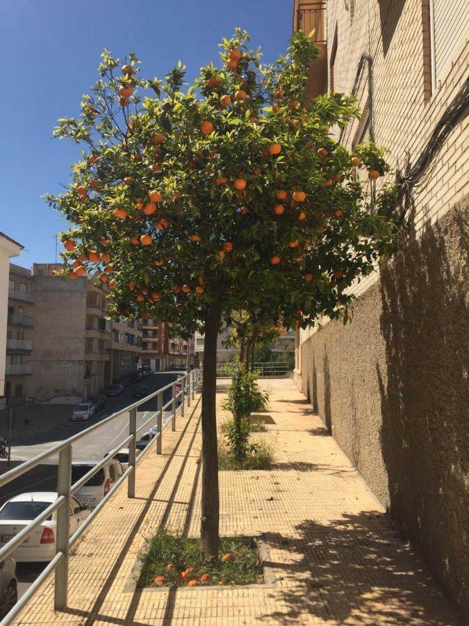 Apartment Sunny Harbour Santa Pola Exterior foto
